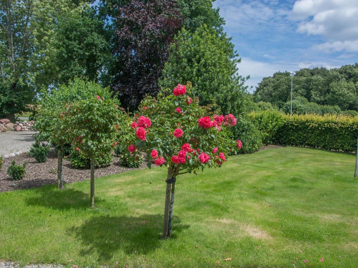 Apartament Landurlaub Regenholz Kronsgaard Zewnętrze zdjęcie